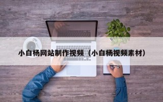 烟台小白杨网站制作视频（小白杨视频素材）